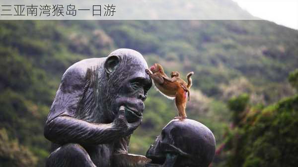 三亚南湾猴岛一日游