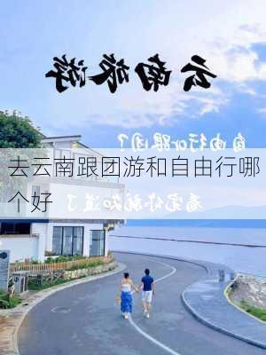 去云南跟团游和自由行哪个好