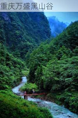 重庆万盛黑山谷