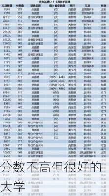 分数不高但很好的大学