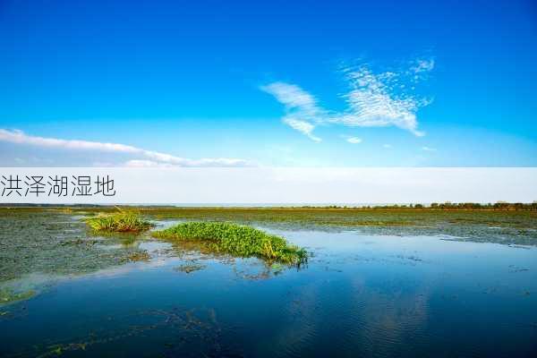 洪泽湖湿地