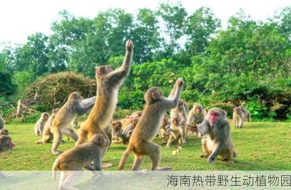 海南热带野生动植物园