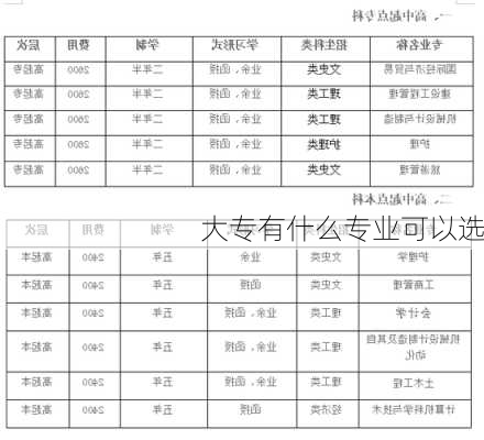 大专有什么专业可以选