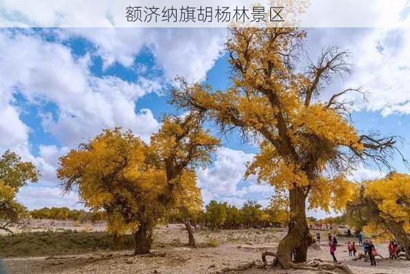 额济纳旗胡杨林景区