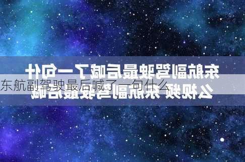 东航副驾驶最后喊了一句什么