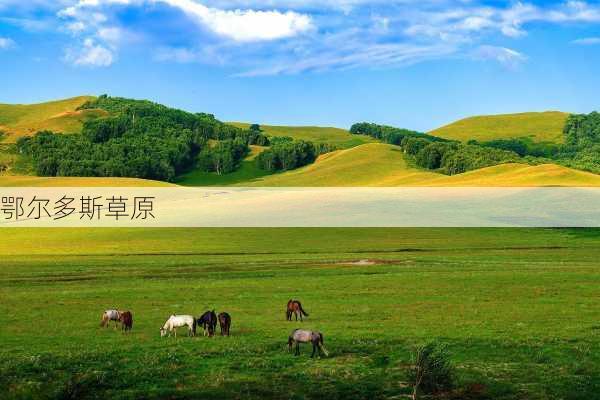 鄂尔多斯草原