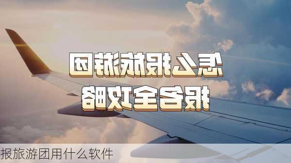 报旅游团用什么软件