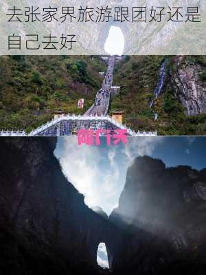 去张家界旅游跟团好还是自己去好