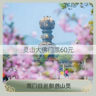 灵山大佛门票60元