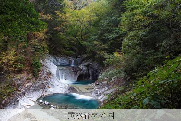 黄水森林公园