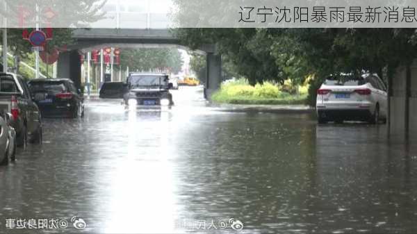 辽宁沈阳暴雨最新消息